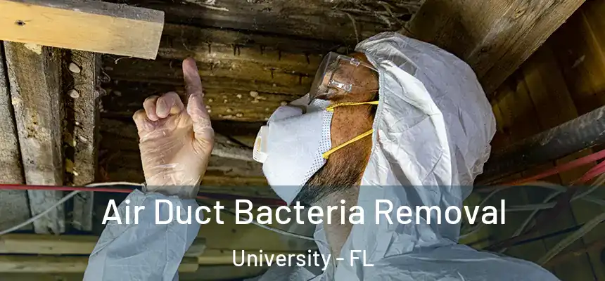 Air Duct Bacteria Removal University - FL
