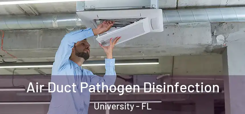 Air Duct Pathogen Disinfection University - FL