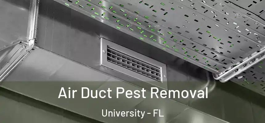 Air Duct Pest Removal University - FL