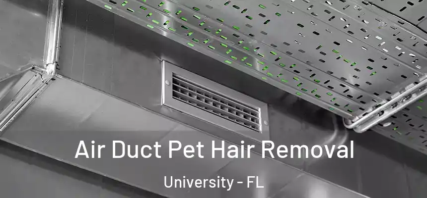 Air Duct Pet Hair Removal University - FL