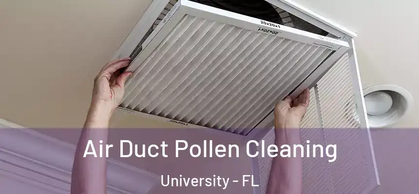 Air Duct Pollen Cleaning University - FL