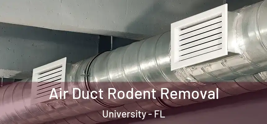 Air Duct Rodent Removal University - FL