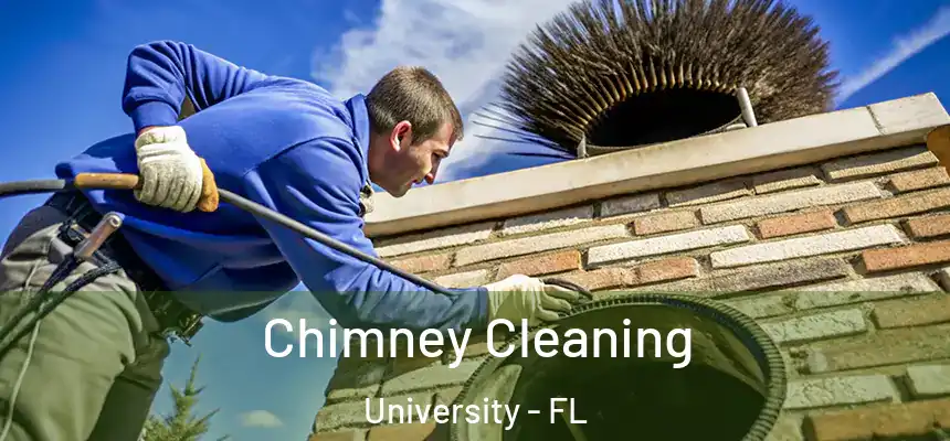 Chimney Cleaning University - FL