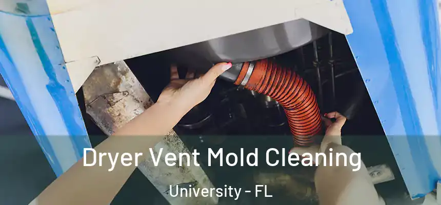 Dryer Vent Mold Cleaning University - FL
