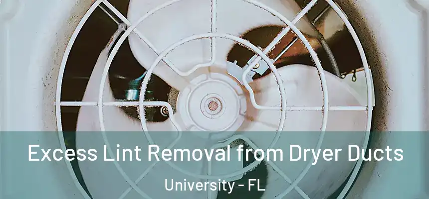 Excess Lint Removal from Dryer Ducts University - FL
