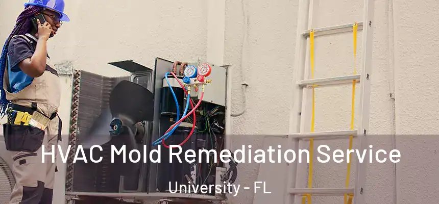 HVAC Mold Remediation Service University - FL