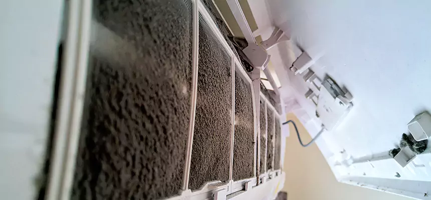 Preventive Air Duct Bacteria Removal in University
