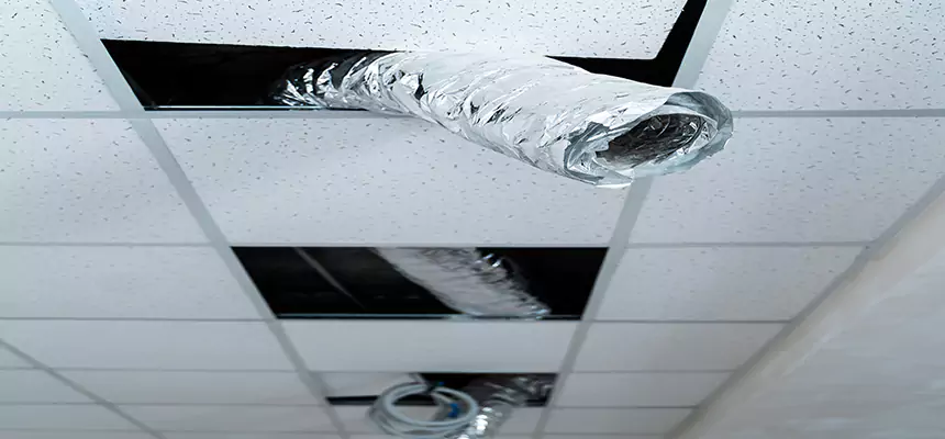 Our Air Duct Pet Hair Removal Services in University, FL