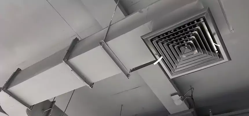 Restorative Allergy Relief Vent Cleaning – Coil, Blower & Housing Detail in University