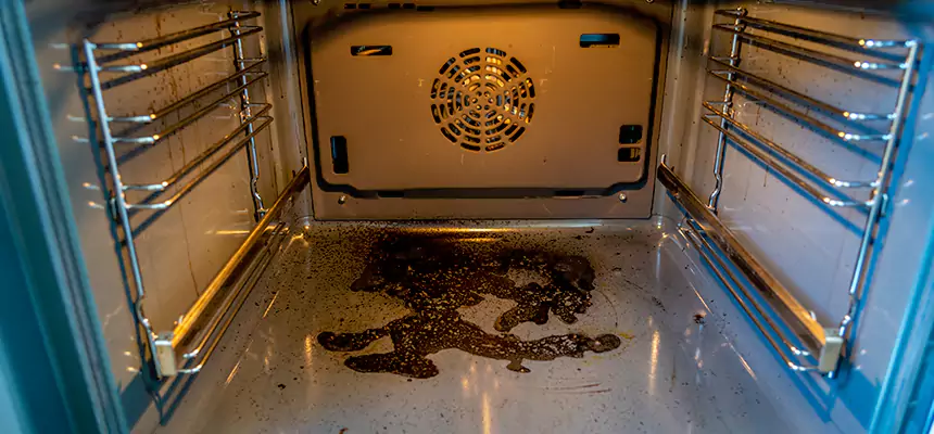 Our Dryer Vent Mold Cleaning Services in University, FL