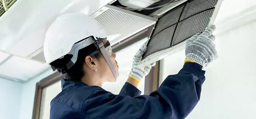 Our Mold & Mildew Removal from Air Ducts Services in University, FL