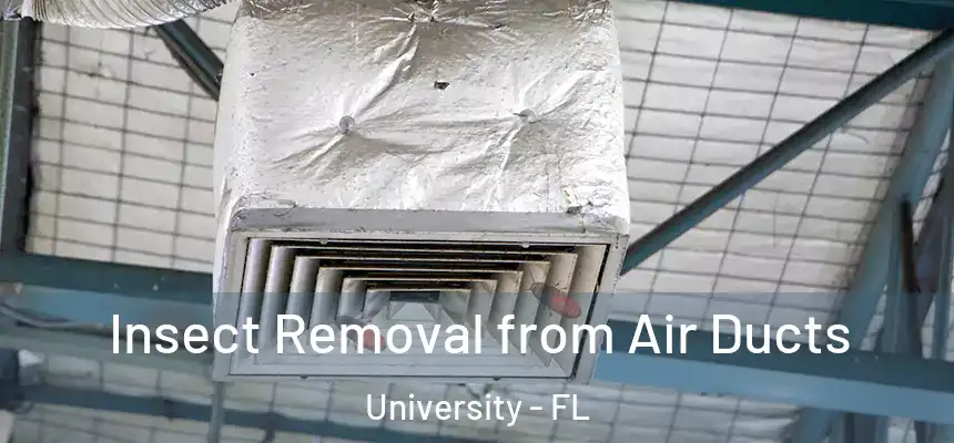 Insect Removal from Air Ducts University - FL
