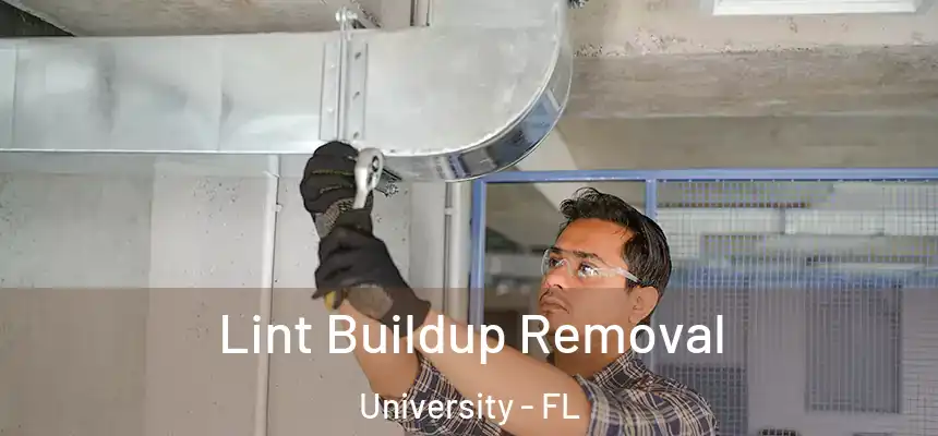 Lint Buildup Removal University - FL
