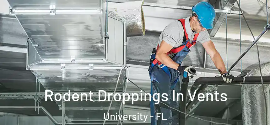 Rodent Droppings In Vents University - FL