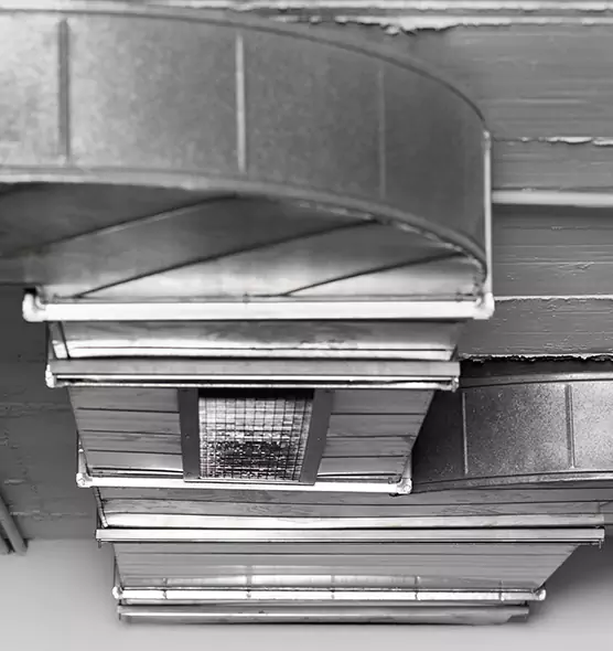 Professional Air Duct Pet Hair Removal in University, FL