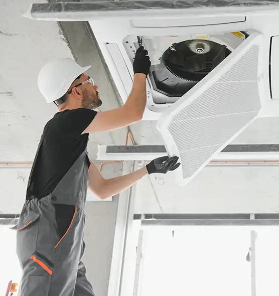 About Air Duct Rodent Removal in University, FL
