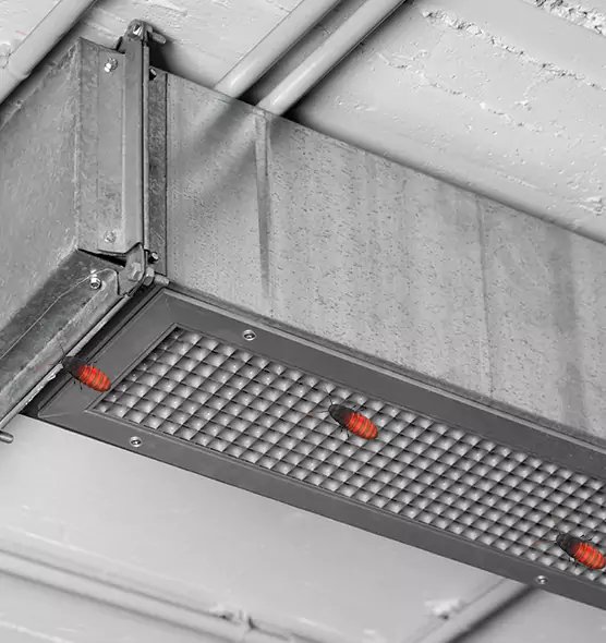Affordable Insect Removal from Air Ducts in University, FL